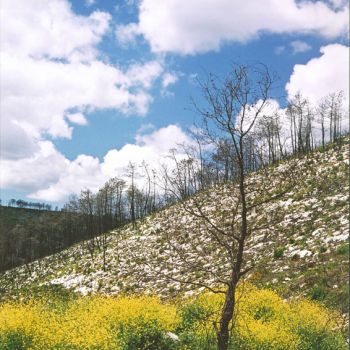 Paisagem Serrana