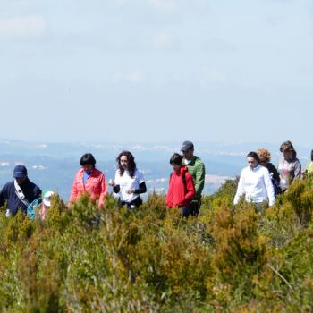 Paisagem de São Mamede