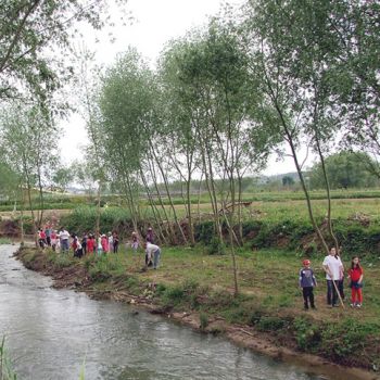 Plantação de árvores nas margens do Rio Lena - Golpilheira