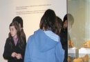 Mais de 1300 visitantes no Museu da Batalha