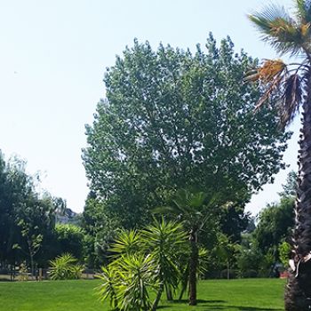 Batalha inaugura novo Jardim dos Infantes e Variante Nascente 
