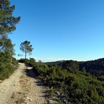 Autarquia investe em viaturas e equipamentos elétricos