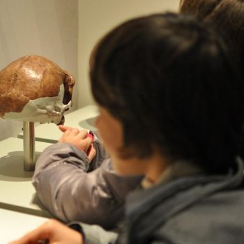 Museu da Batalha é finalista ao Prémio Ibero-americano de Educação e Museus