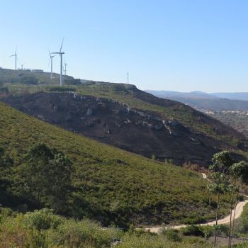 Autarquia vai investir 414 mil euros na Proteção Civil e na Floresta