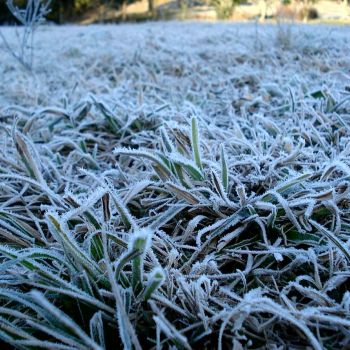 Câmara da Batalha dinamiza medidas de prevenção e proteção do frio
