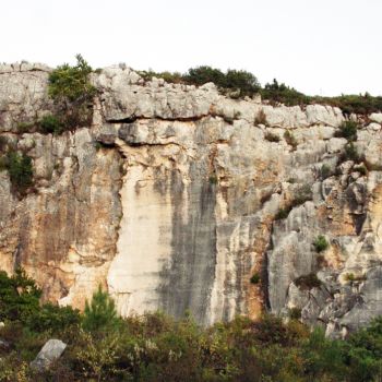 Câmara da Batalha recusa a instalação de pedreira em área classificada e exige ao Governo a suspensão dos processos que colidam com o projeto municipal de valorização das pedreiras
