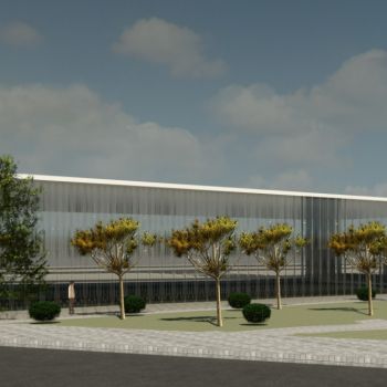 Assembleia Municipal aprova Plano de Desenvolvimento Desportivo para 2020 que ascende a 3 milhões de euros