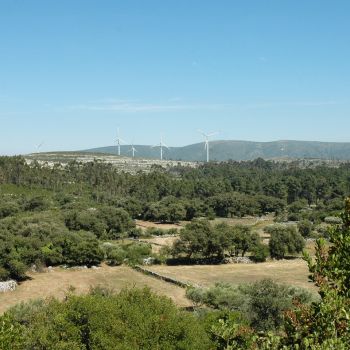 Câmara Municipal aposta em ecopontos florestais para apoiar a limpeza de terrenos