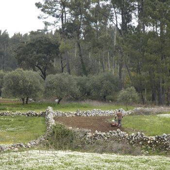 Incêndios Rurais