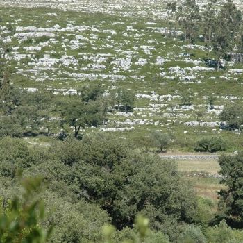 Batalha avança com projeto de 150 mil euros para realizar o cadastro predial e vai abrir o Balcão Único do Prédio (BUPi)