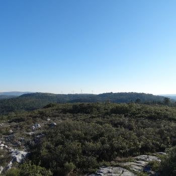 Plano Municipal de Defesa da Floresta Contra Incêndios em discussão pública até 01 de março 
