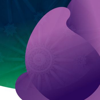Abertura de candidaturas e renovações a Bolsas de Estudo 2025/2026