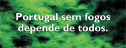 Período Crítico 01/07 a 15/10