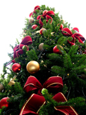 Natal na Batalha com mais brilho e animação