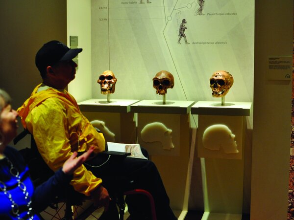 Imagem Visita ao Museu