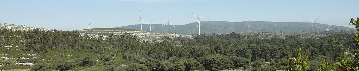 site_gabinete_tecnico_floresatal__