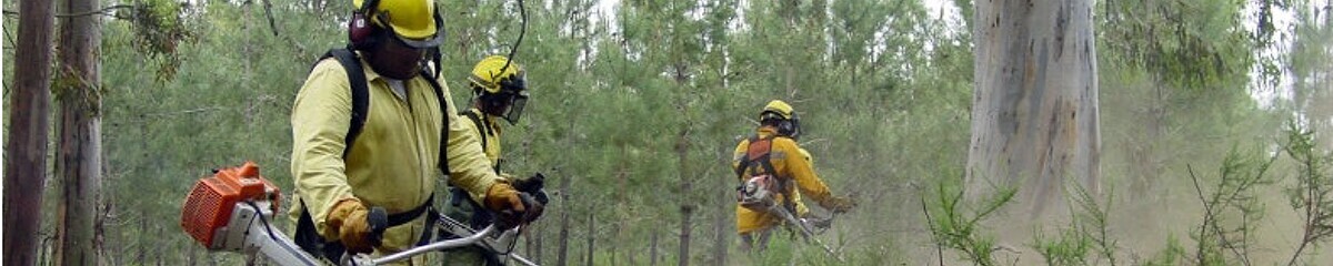 site_protecao_civil__